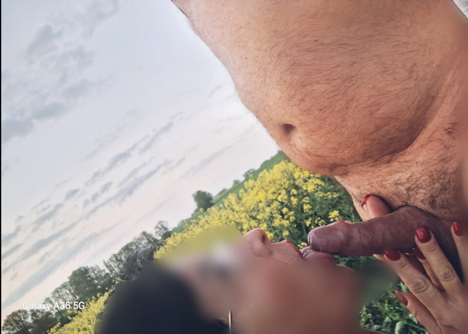 1000043574.jpg - Rosaviktor