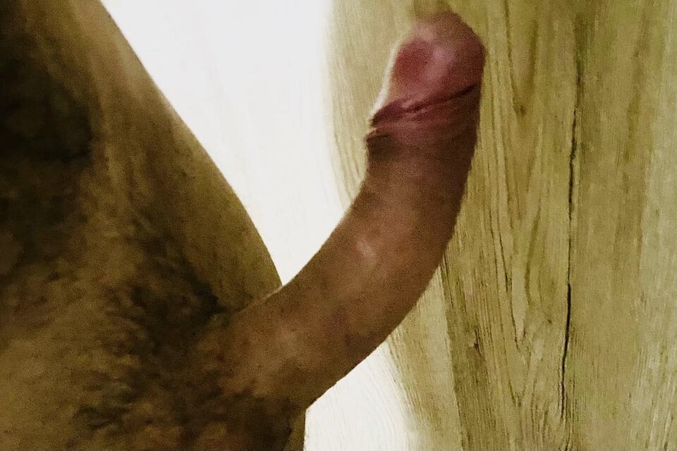 Messenger_creation_FA8593DF-53C5-44AA-9A3A-110D0805EB4C.jpeg - Metrus17