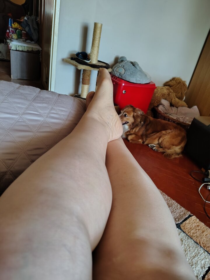 1000001648.jpg - pulchna65