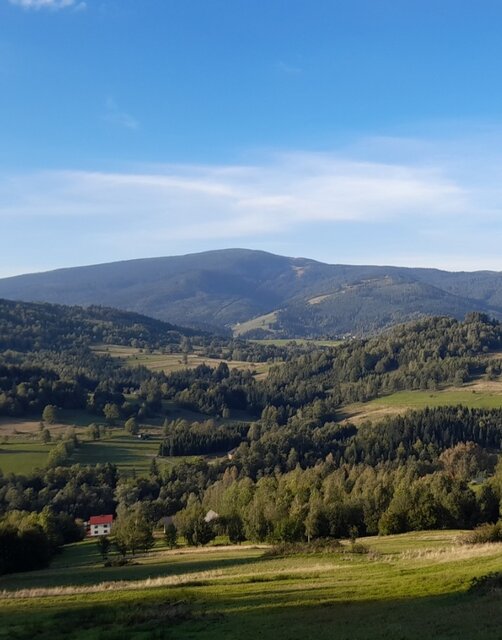 Screenshot_20250502-134221_Gallery.jpg - Czarodzieje_alfa