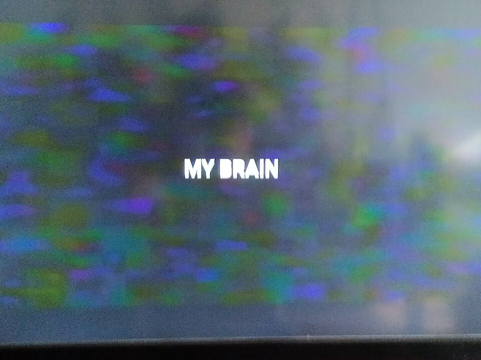 1000005637.jpg - TransKitty