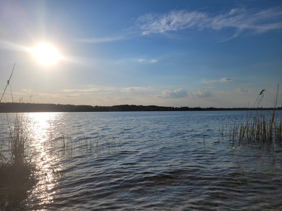 20250502_182628.jpg - Marcin_grzybowice