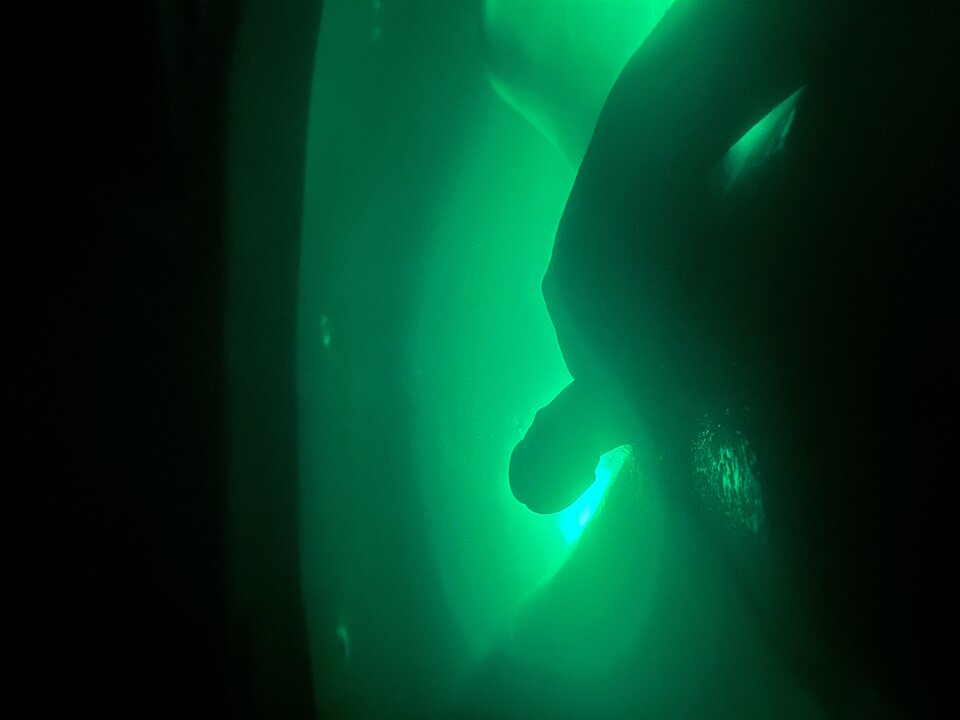 Ktoś się nim zajmie? - bebe79