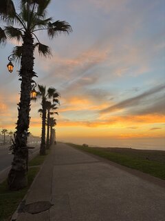 C2116626-7B1C-491D-AC80-E146E00B18C8.jpeg