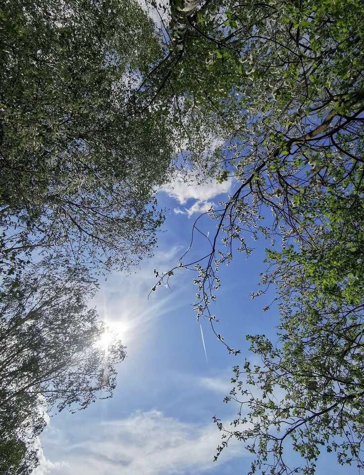 Screenshot_20250503_085106.jpg - Naturystahetero