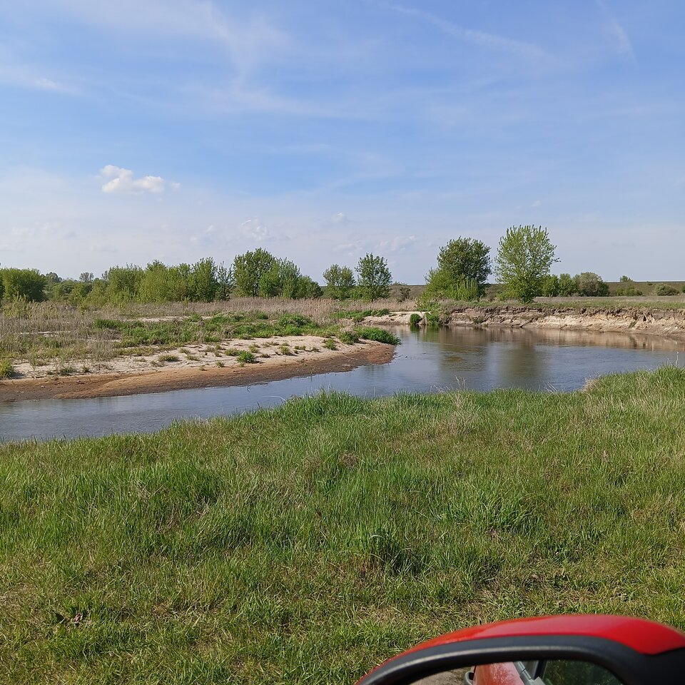 1000003188.jpg - Wszolek