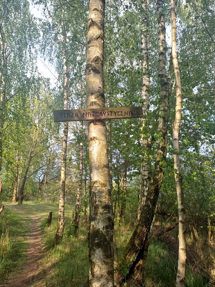 1000031272.jpg - Sex_life