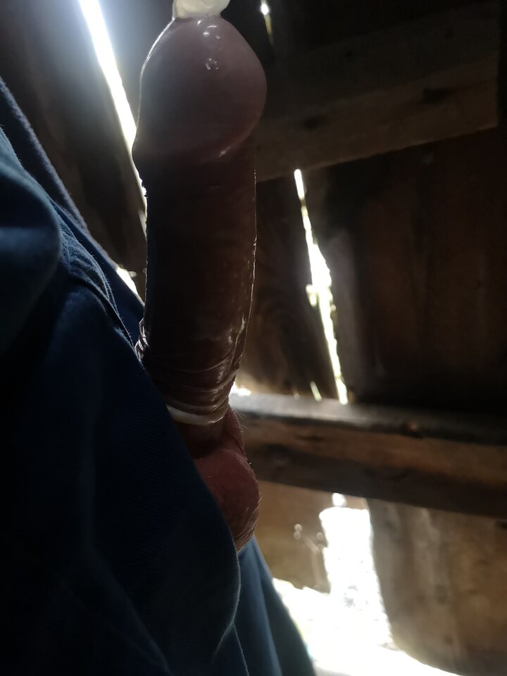 IMG_20250503_122102.jpg - soniakk1