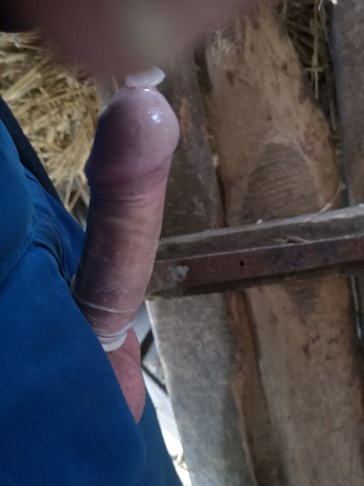 IMG_20250503_122133.jpg - soniakk1