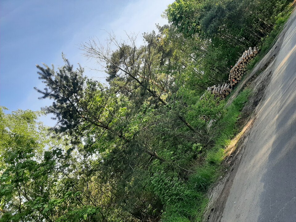 20250502_073616.jpg - Wiitek40