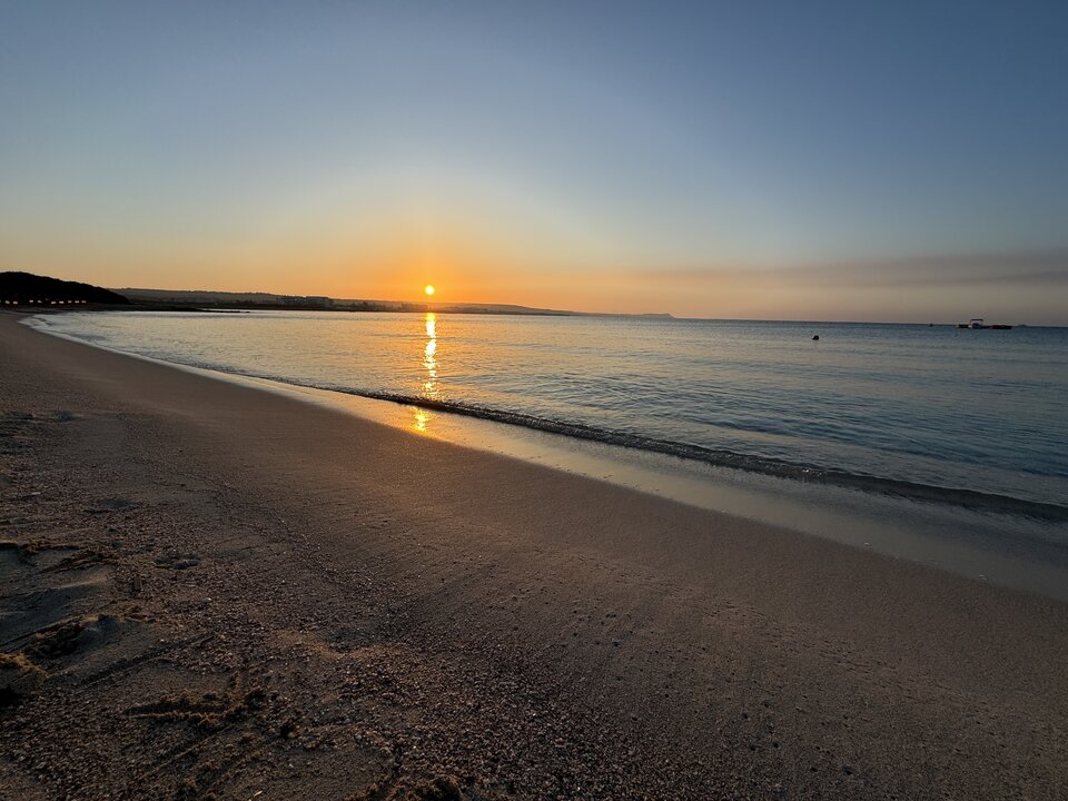 IMG_5542.jpeg - MattVegass