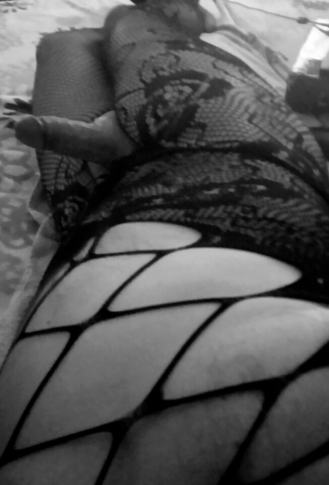 IMG_20250425_081905.jpg - pamcia69