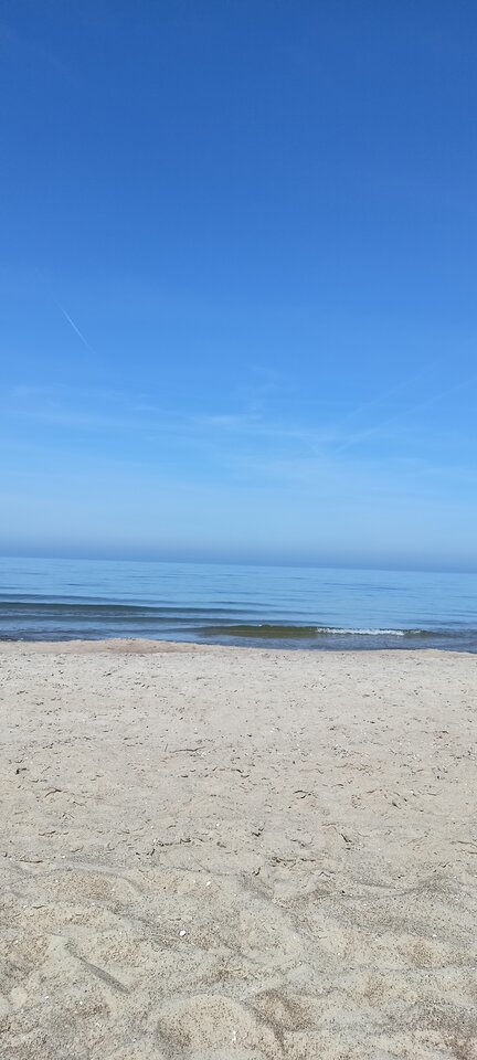 IMG20250501121839.jpg - Malzenstwozpaniabi