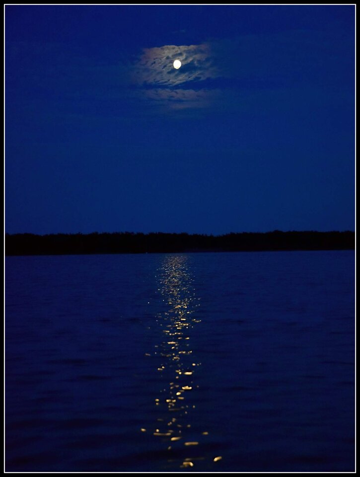 DSC_2665.jpg - Wesolychlopakk