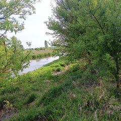Miejsce gdzie można się opalać nago nad rzeka Nida motkowice 