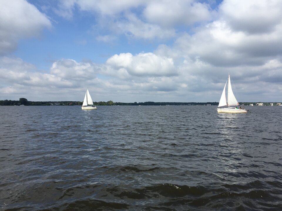 Żaglówki - falcons