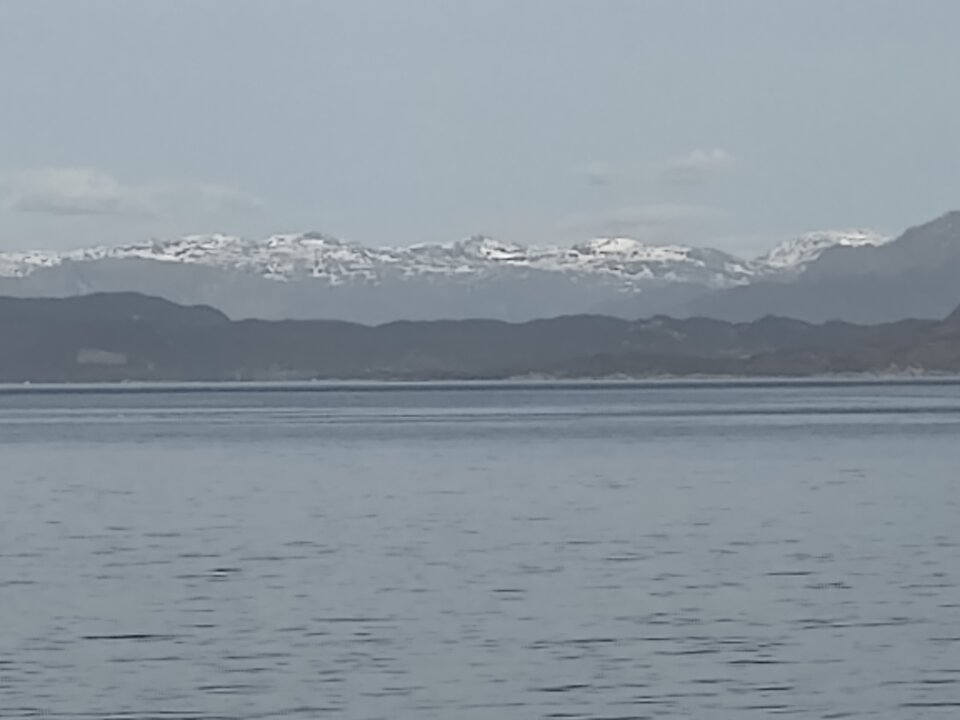 Jeszcze Wincyj Gór - ThisOneShyGuy