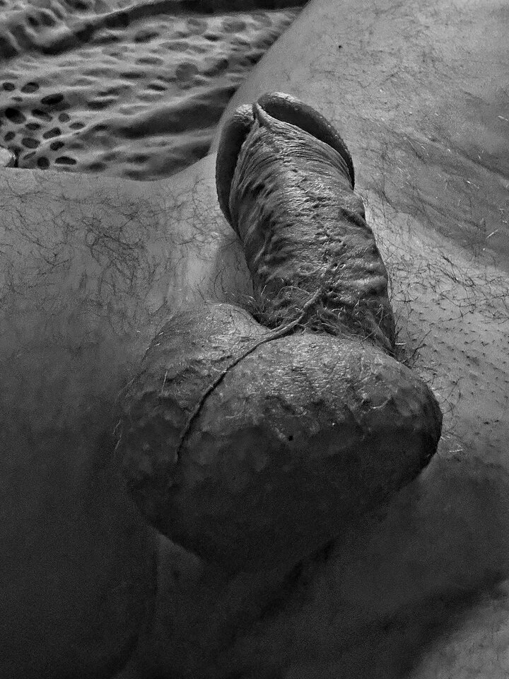 IMG_1479.jpeg - HokusPokus40