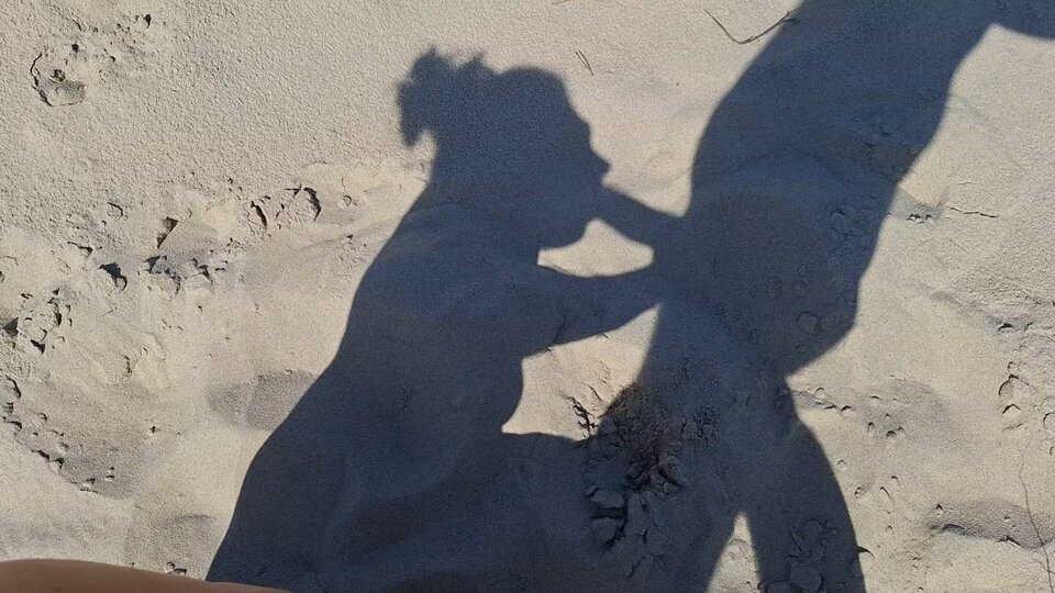 Gra cieni. - janaga11