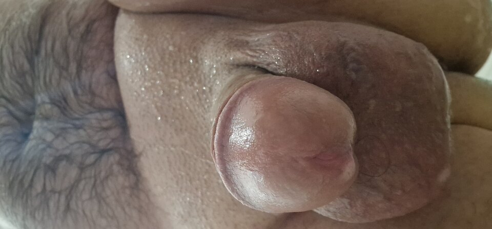 1746385181545599736300791077414.jpg - robin266