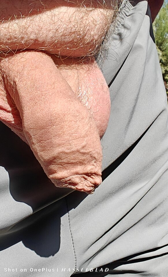 1000013552.jpg - jogan