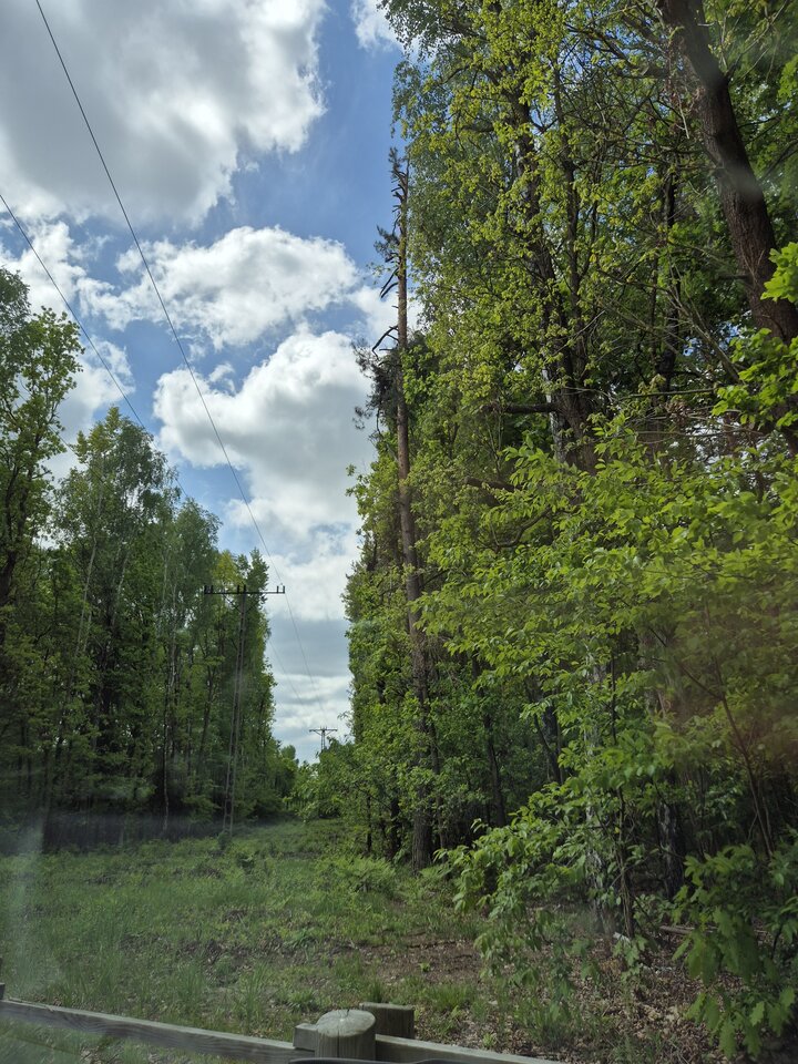 Ktoś podejdzie 🌲🚙🌲 Starganiec - Old_School_69