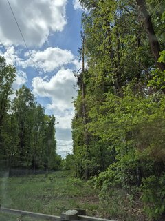 Ktoś podejdzie 🌲🚙🌲 Starganiec