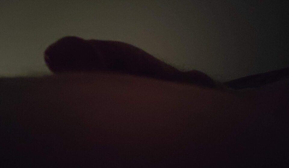 dune.jpg - NapoleonIII