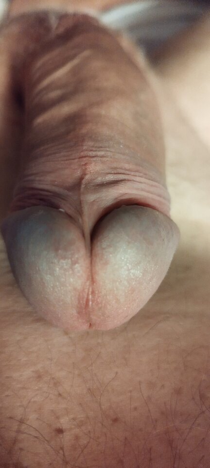 IMG_20250506_082736.jpg - Pio20980