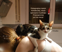 DSC_0079 inne portale.JPG