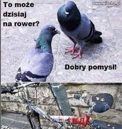 IMG_1722.jpeg