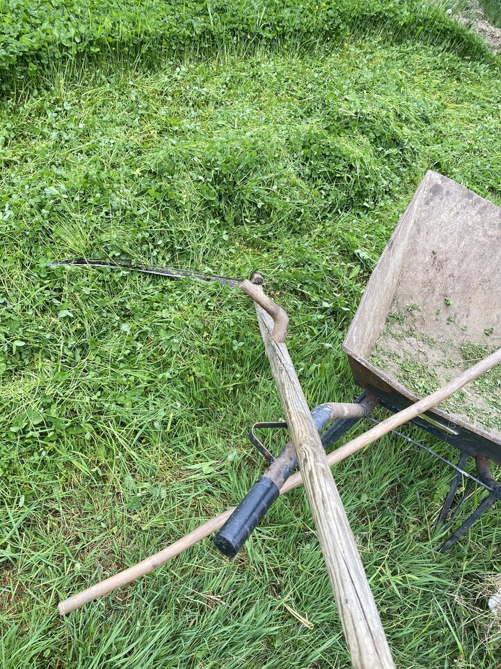 IMG_4453.jpeg - May_Day