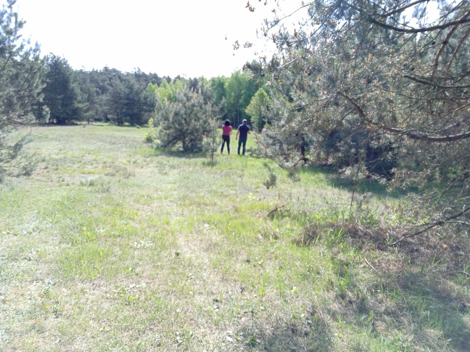 Ładną pogoda - ciasteczka2