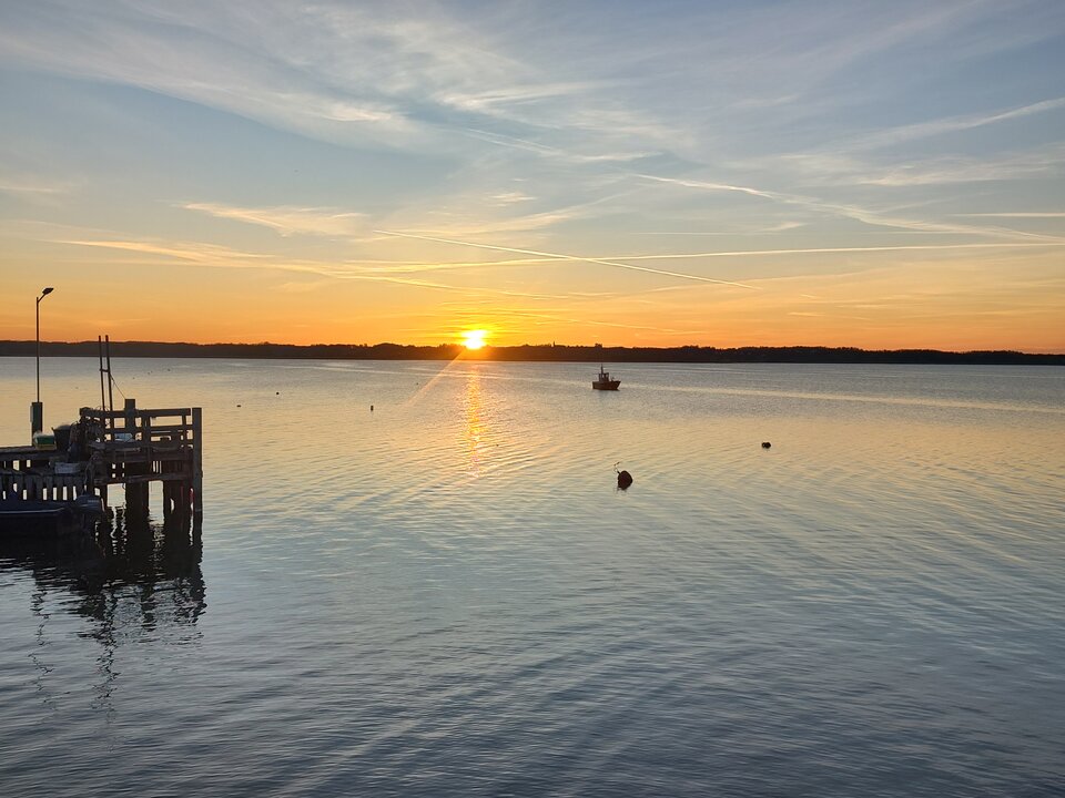 1000203208.jpg - Bixbit