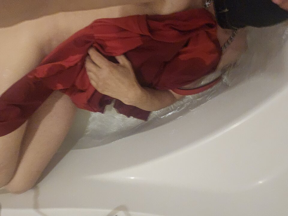 1000001586.jpg - translu