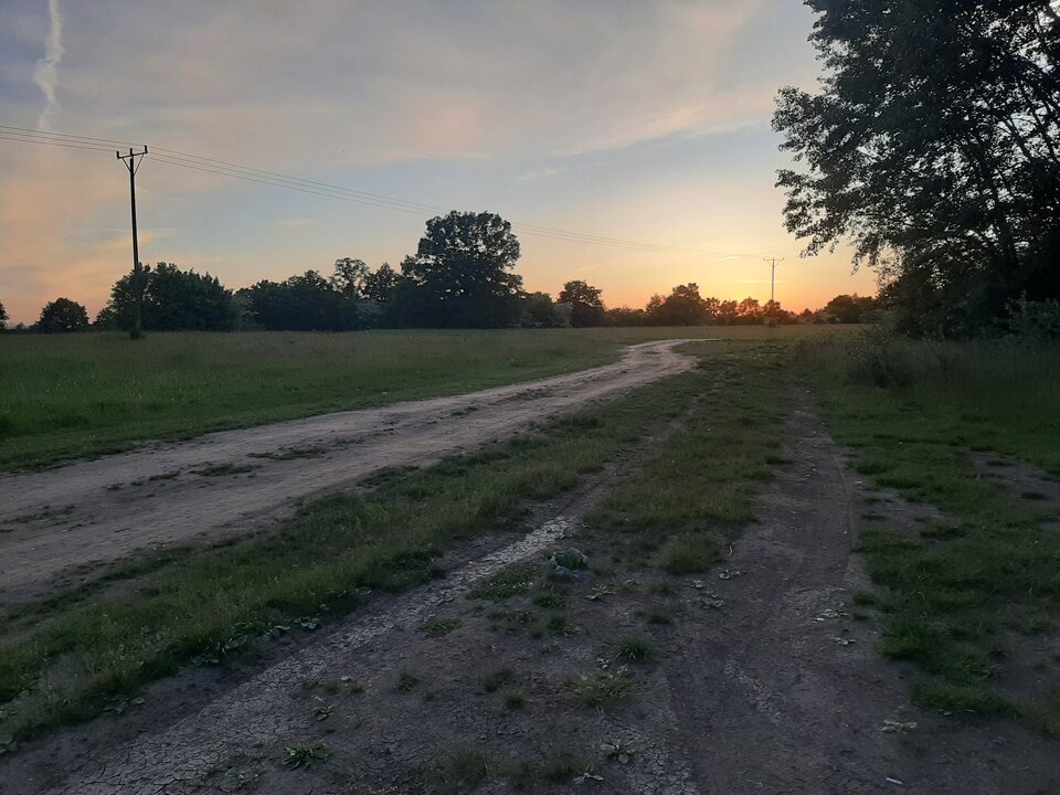 Treanor taka cisza - Wiitek40