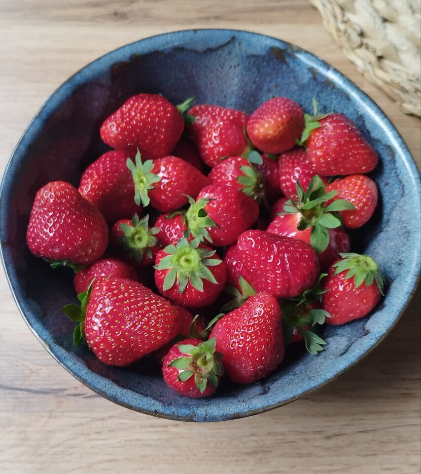 IMG_20250507_172021.jpg - Borsuczki1970