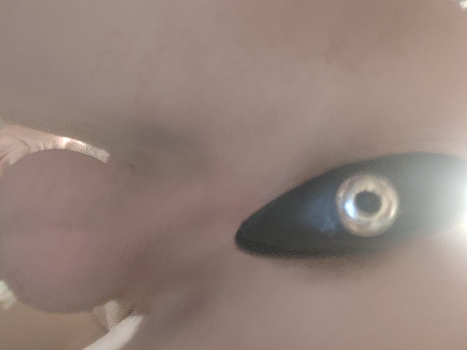 20250413_161407.jpg - mily1961