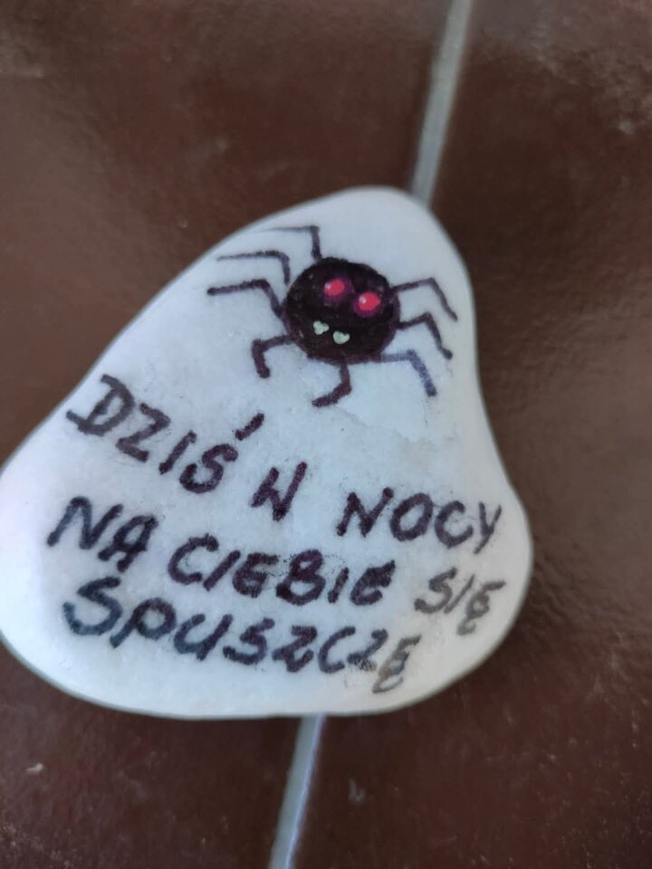 1000056213.jpg - Matt88De