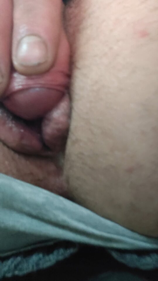 IMG_20250508_02525066.jpeg - dyndok