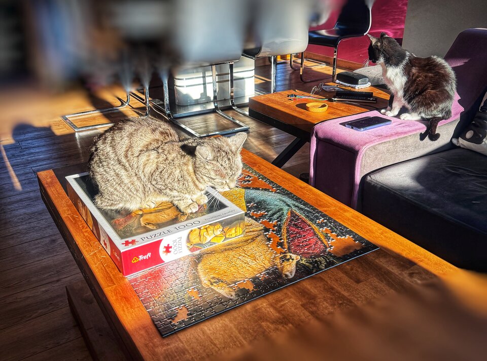 😽 🧙‍♀️ - serialowapara19782