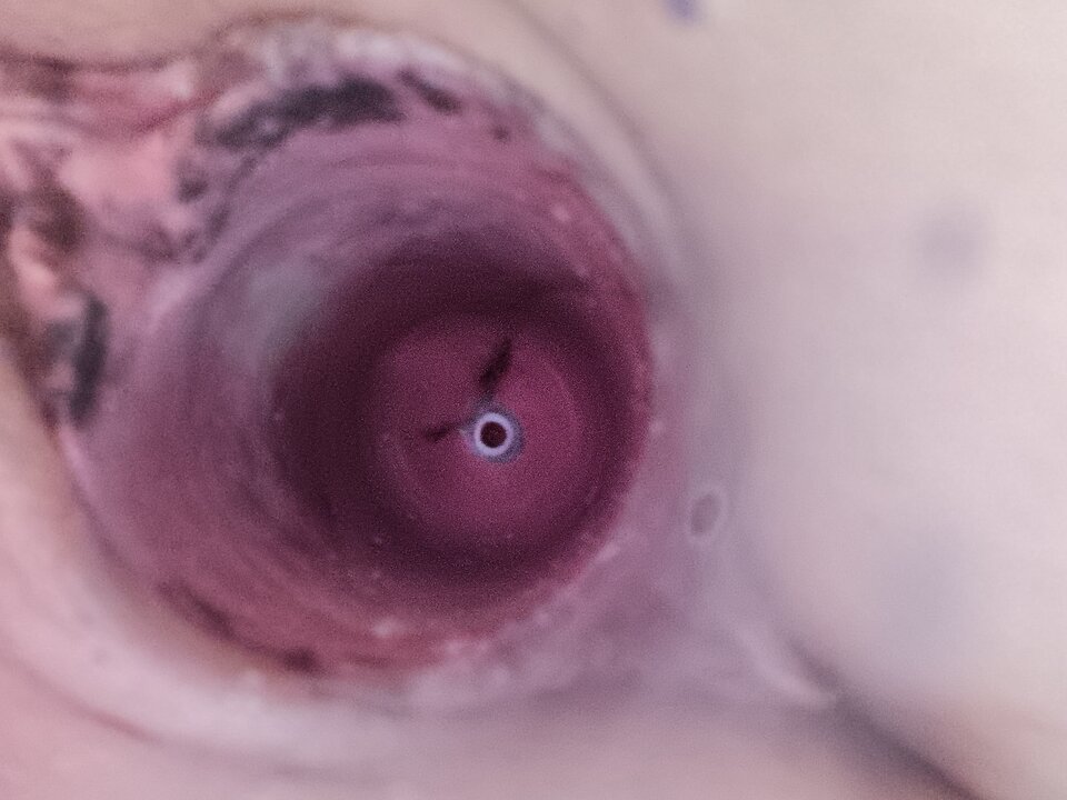 1000014752.jpg - Terazja40