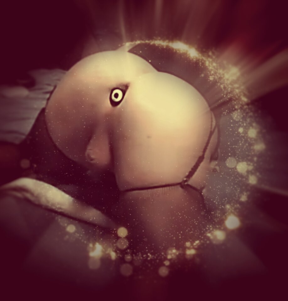 1000024030.jpg - NinaTransCD