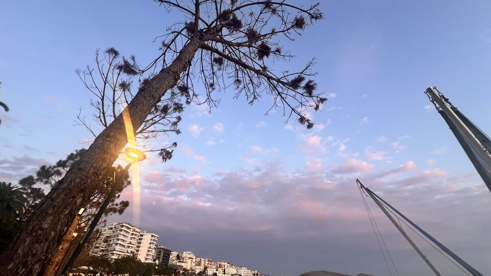 IMG_9729.jpeg - moby_dick