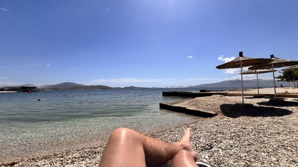 IMG_9610.jpeg - moby_dick