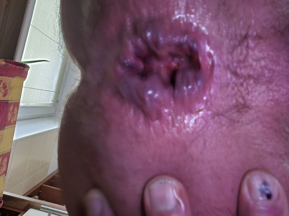 1000005651.jpg - Naturysta70