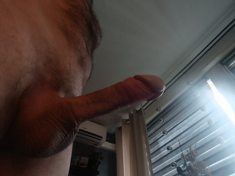 1000030237.jpg - Predator888