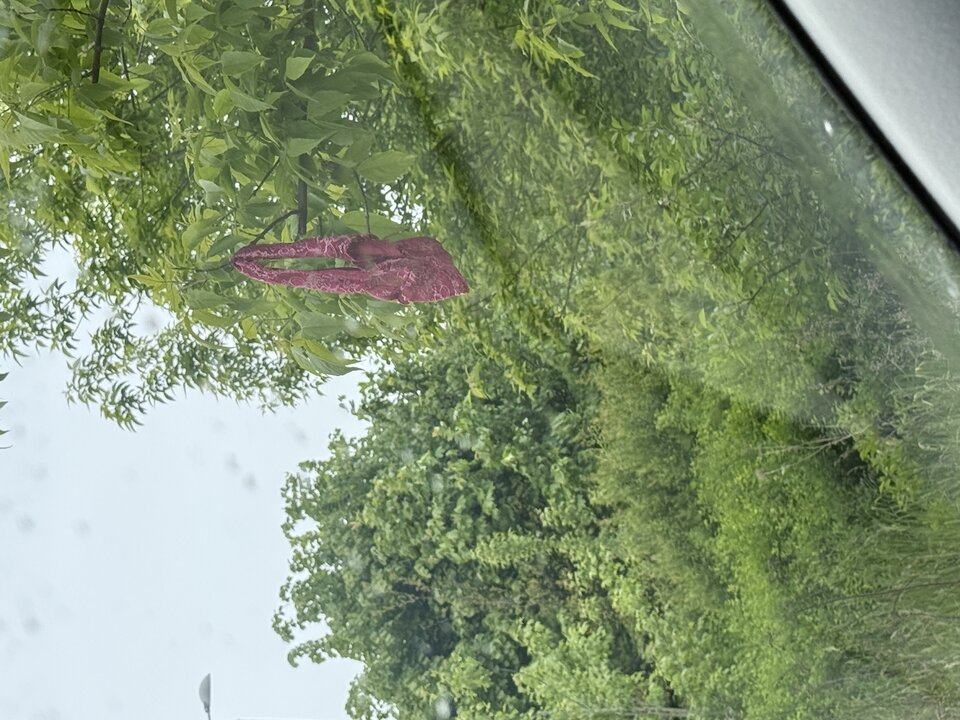 IMG_0254.jpeg - on2256