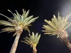 IMG_0190.jpeg