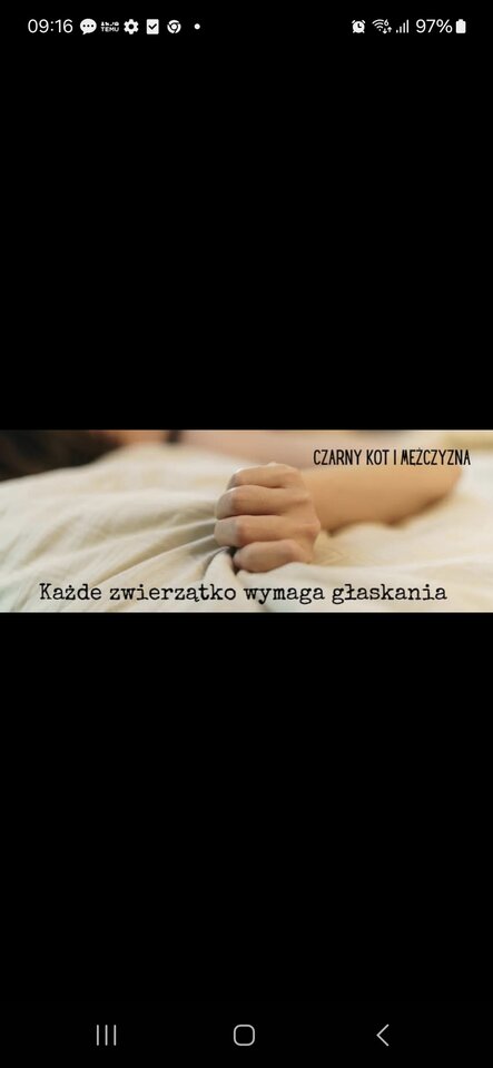 1000036538.jpg - Bi_para_KiP